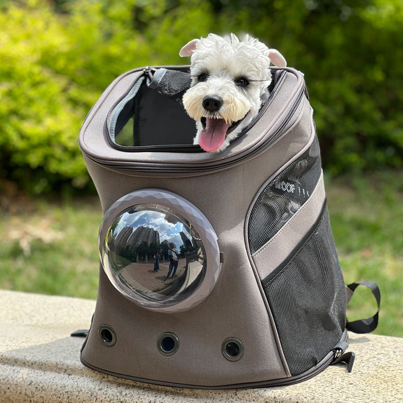 The Ultimate Portable Pet Carrier Backpack for Medium Sized Pets