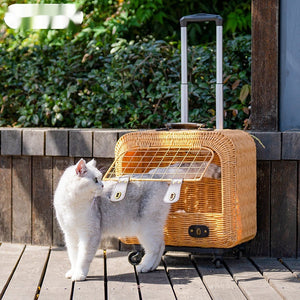 Elevate Your Pet's Travel Experience with Our Woven Rattan Carrier