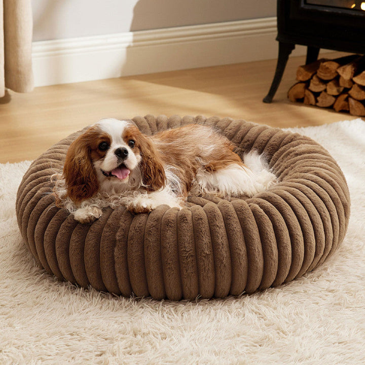 Discover the Ultimate Comfort for Your Furry Friends